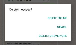 whatsapp Delete Message option